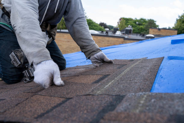 Best Roof Gutter Cleaning  in Westwood, MI