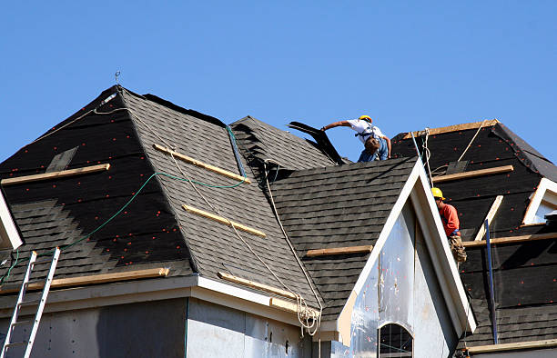 Best Metal Roofing Contractor  in Westwood, MI