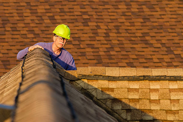 Best New Roof Installation  in Westwood, MI