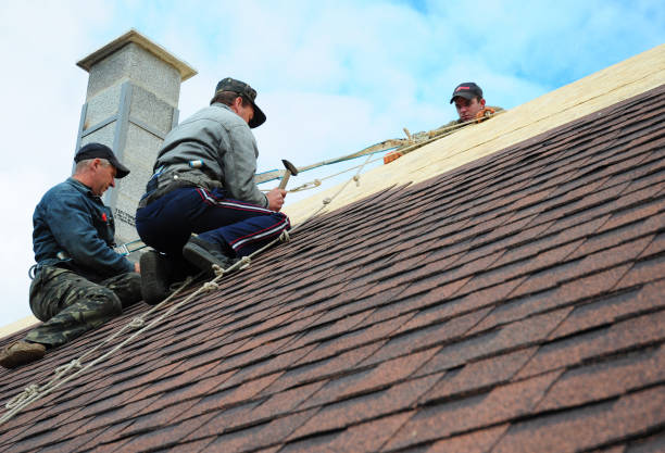 Best Emergency Roof Repair  in Westwood, MI