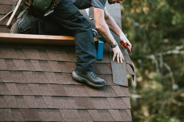 Best Roof Restoration Services  in Westwood, MI